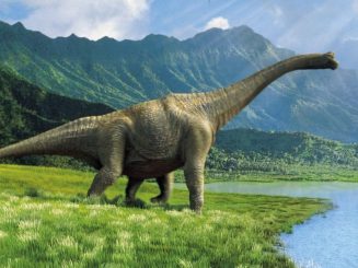 Dinosaurio