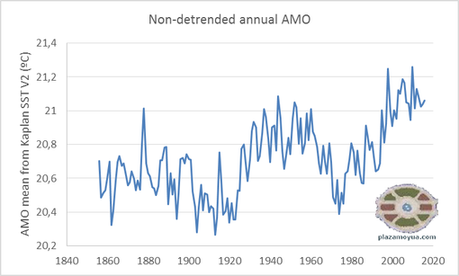 amo-non-detr