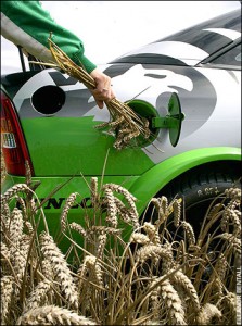 biofuels(1)